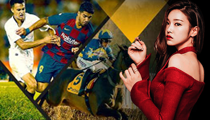 gambling sportsbook