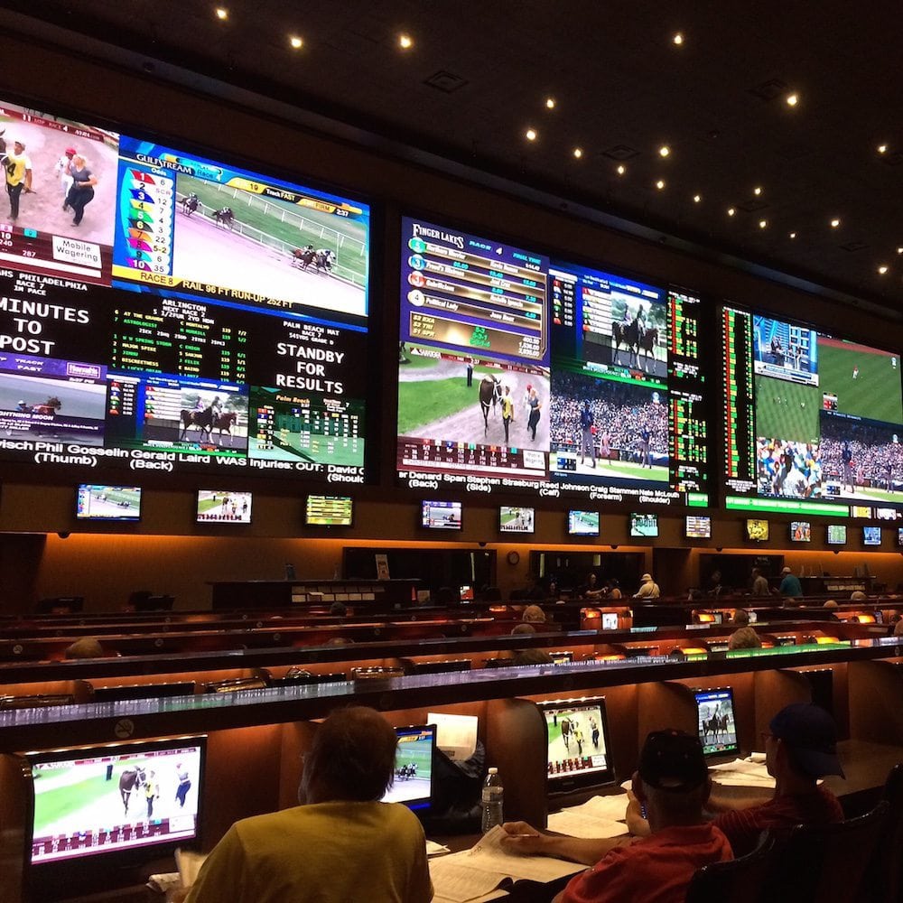 gambling sportsbook